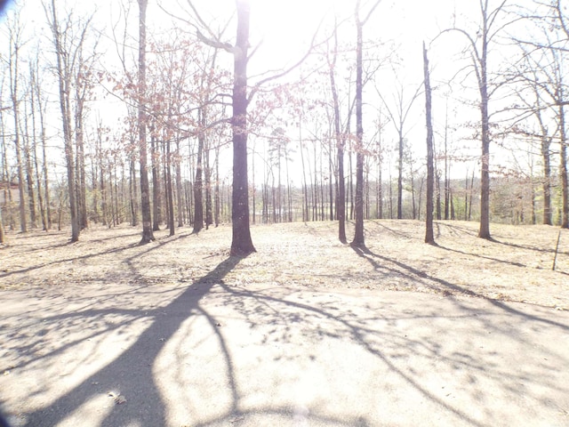 TBD Brandon Dr, Mena, AR 71953