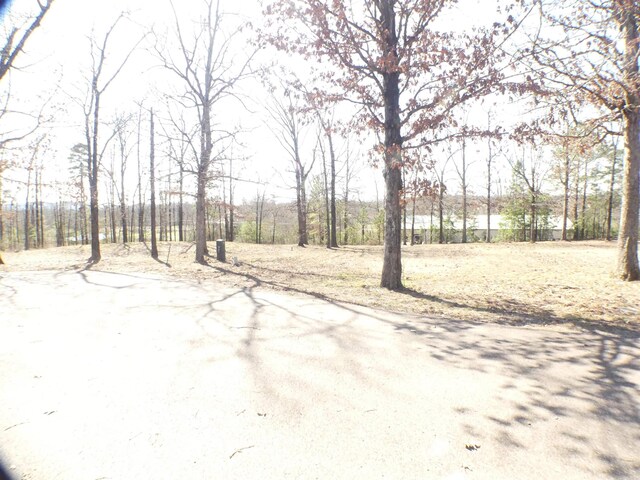 Listing photo 2 for TBD Brandon Dr, Mena AR 71953