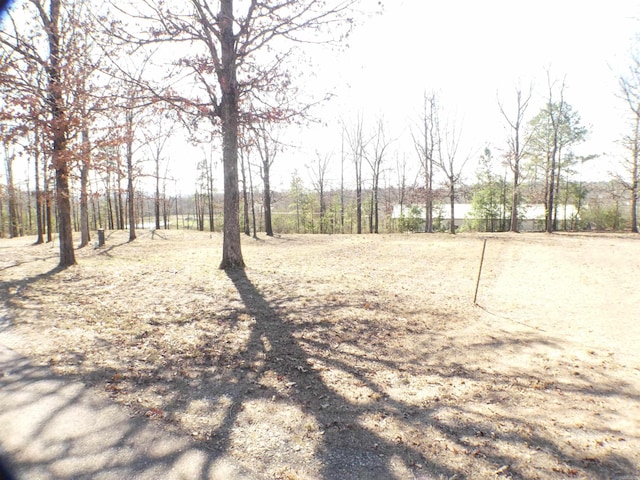 Listing photo 3 for TBD Brandon Dr, Mena AR 71953