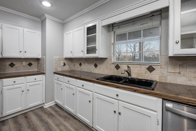 kitchen featuring a sink, dark countertops, and stainless steel dishwasher