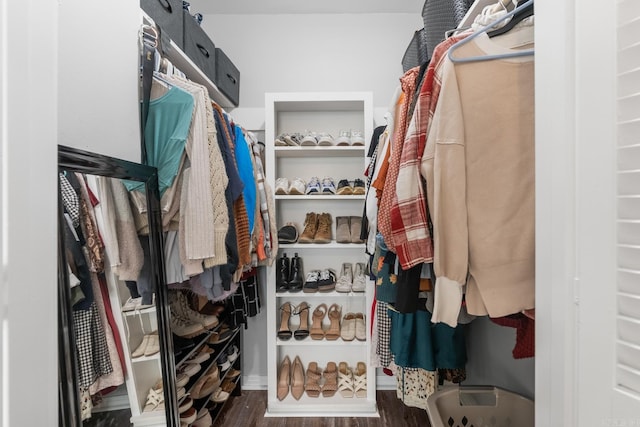 spacious closet with wood finished floors