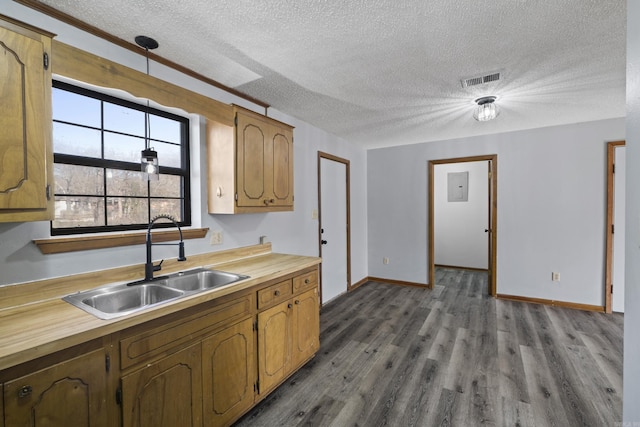 kitchen featuring visible vents, baseboards, dark wood-style floors, wood counters, and a sink