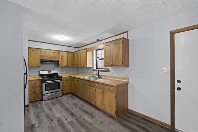 kitchen featuring light wood-style flooring, under cabinet range hood, a sink, light countertops, and stainless steel gas range