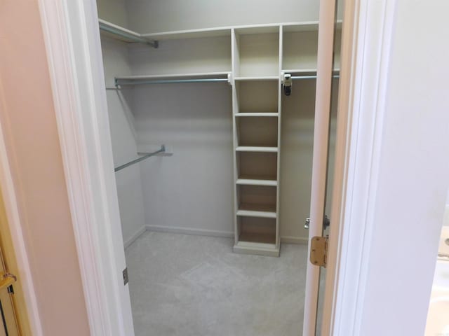 spacious closet featuring carpet