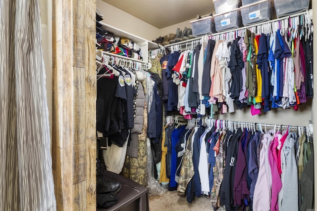 walk in closet featuring carpet