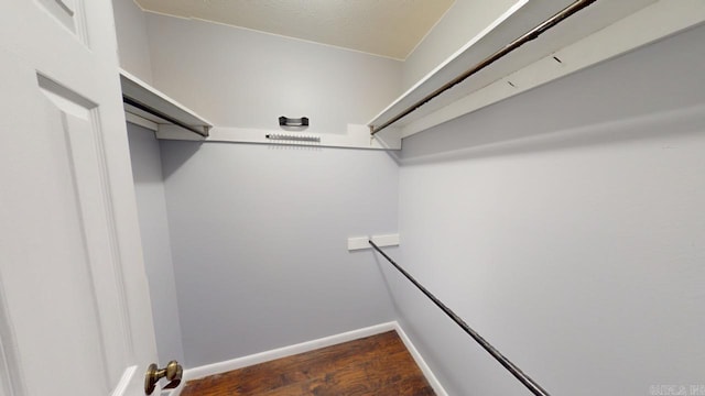 spacious closet featuring dark wood-style flooring