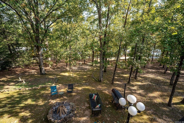 view of yard featuring a fire pit