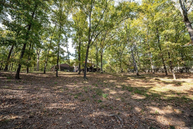 view of yard with a carport