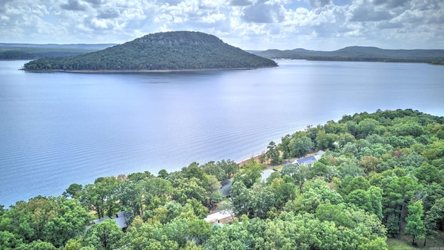 view of water feature featuring a mountain view