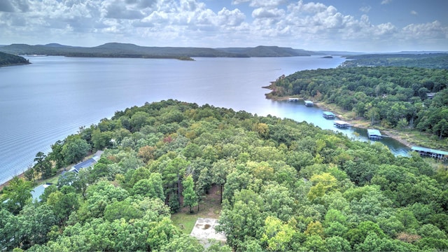 aerial view featuring a water view and a view of trees