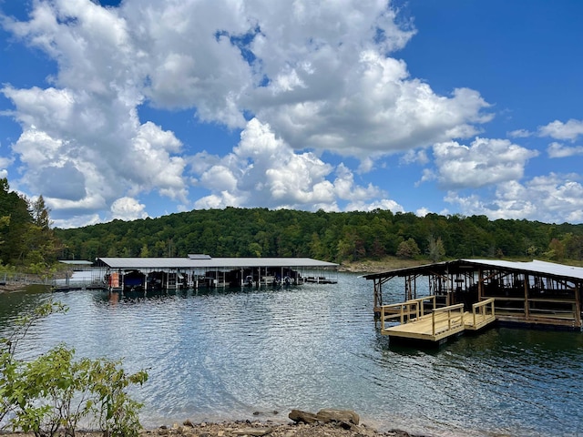 view of dock featuring a view of trees and a water view