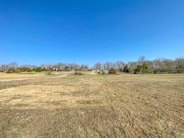 view of yard featuring a rural view