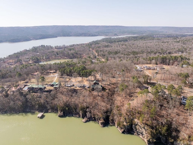 birds eye view of property with a forest view and a water view