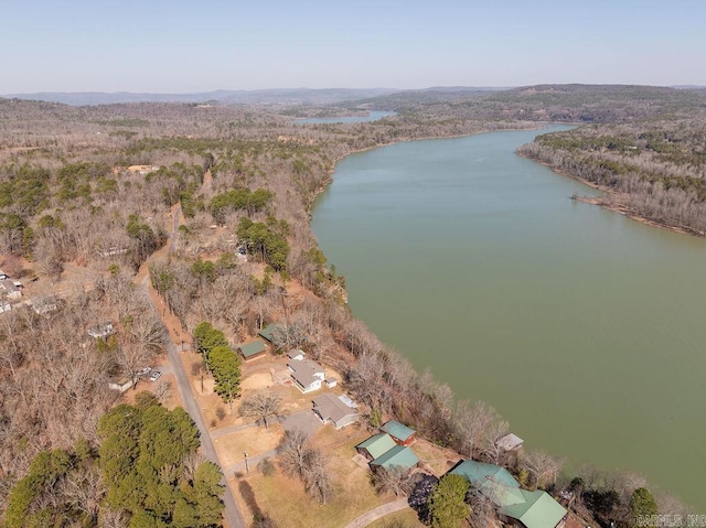 drone / aerial view with a wooded view and a water view