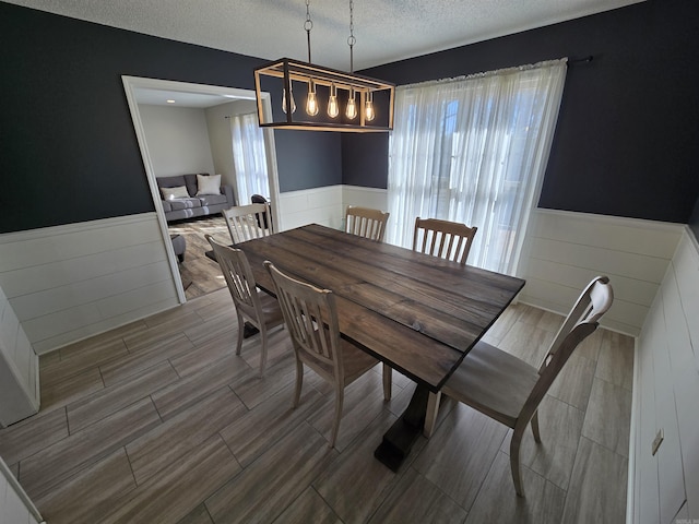 dining area with wainscoting, a textured ceiling, a healthy amount of sunlight, and wood tiled floor