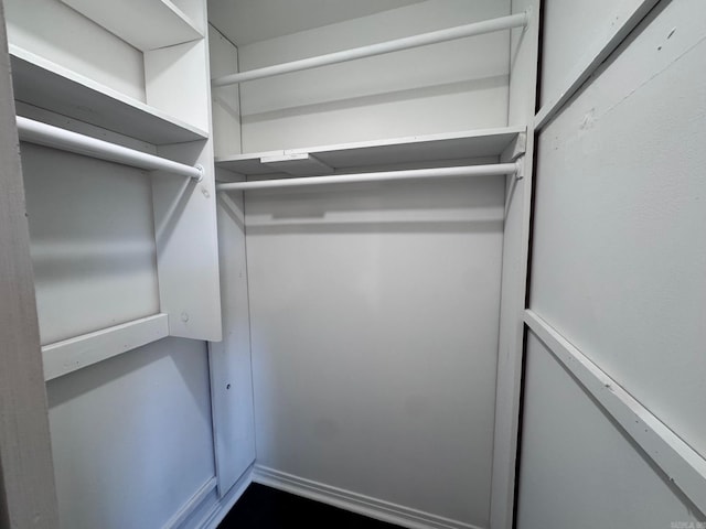 view of walk in closet