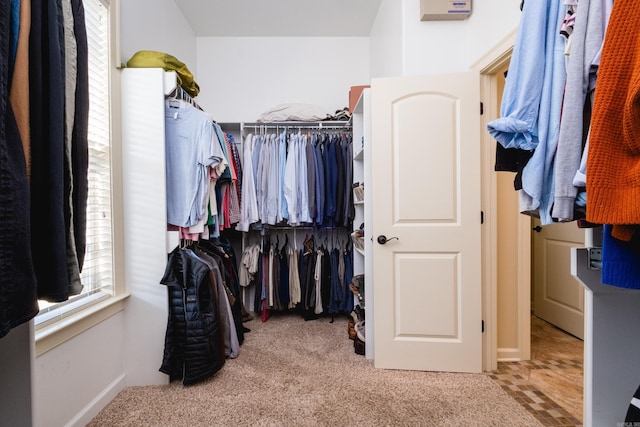 walk in closet with carpet flooring