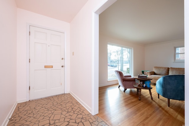 foyer entrance featuring plenty of natural light, light wood-style floors, and baseboards