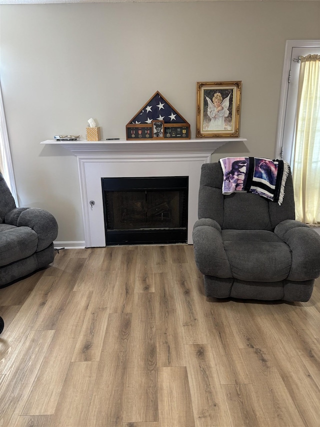 living area with wood finished floors and a fireplace