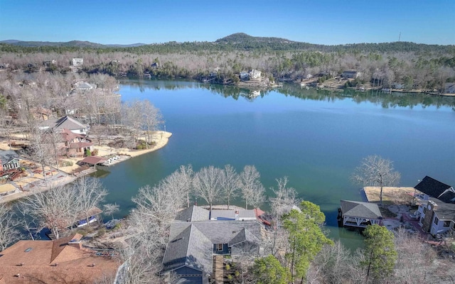 birds eye view of property with a water and mountain view