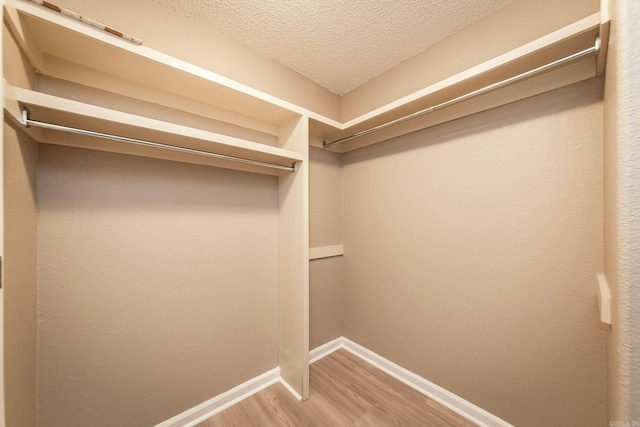 spacious closet featuring light wood-type flooring