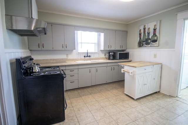 kitchen with extractor fan, a wainscoted wall, ornamental molding, black / electric stove, and a sink