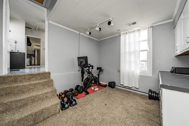 workout area featuring track lighting, carpet flooring, visible vents, and ornamental molding