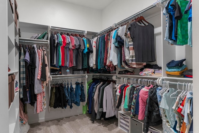 walk in closet with carpet floors