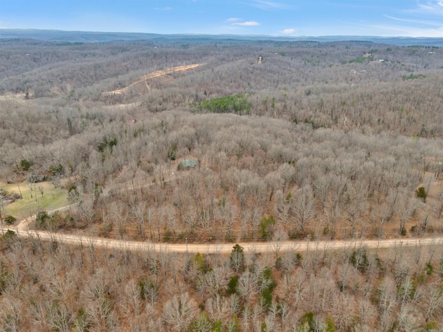 bird's eye view with a forest view