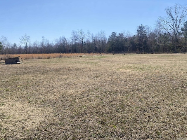 view of yard featuring a forest view