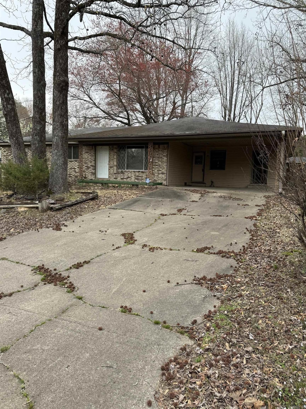 single story home with a carport and concrete driveway