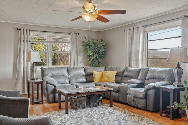 living room featuring a ceiling fan, plenty of natural light, wood finished floors, and ornamental molding