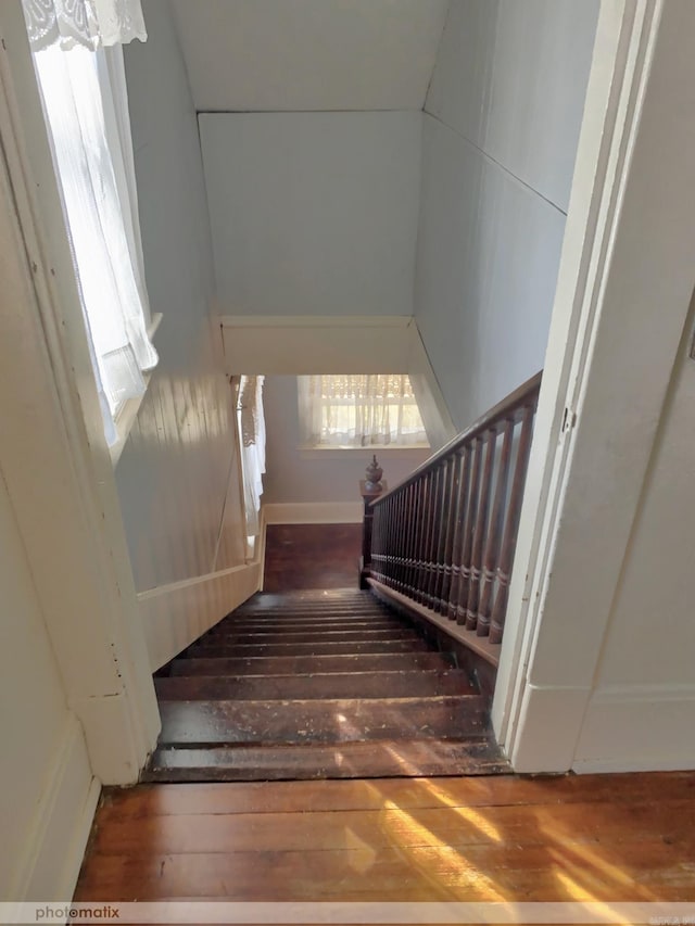 stairway with wood-type flooring