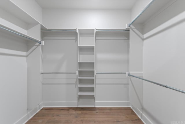 spacious closet featuring wood finished floors