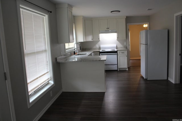 kitchen featuring white appliances, baseboards, dark wood finished floors, a sink, and under cabinet range hood