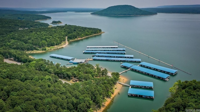 birds eye view of property featuring a wooded view and a water view