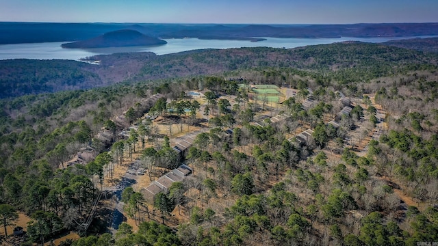 aerial view with a water view and a view of trees