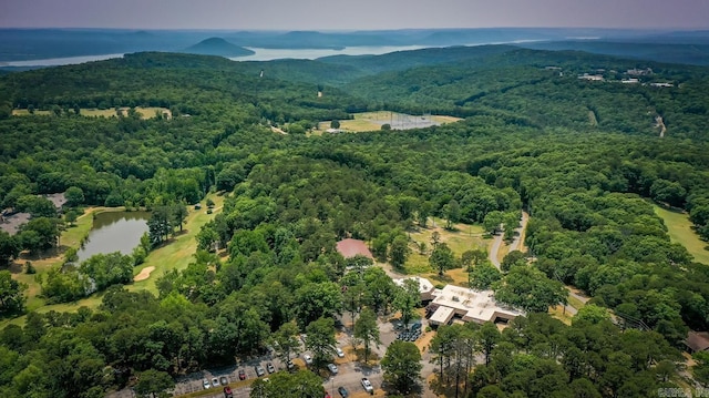 birds eye view of property featuring a wooded view and a water view