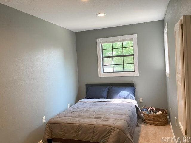 bedroom with carpet flooring