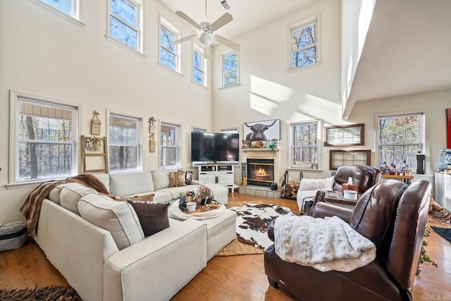 living area featuring a glass covered fireplace, light wood-style flooring, and ceiling fan