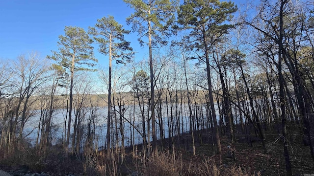 Listing photo 2 for LOT66 Lower Ridge Cir, Edgemont AR 72044