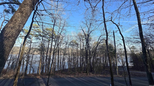 Listing photo 3 for LOT66 Lower Ridge Cir, Edgemont AR 72044