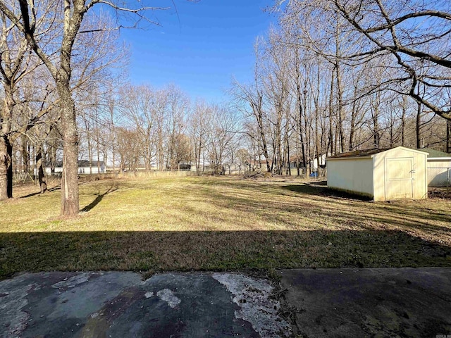 view of yard with an outdoor structure and a storage unit