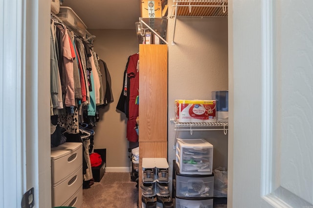 walk in closet featuring carpet