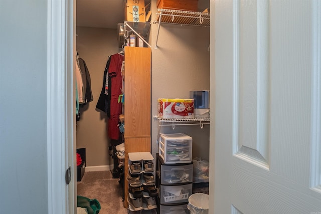 spacious closet featuring carpet floors