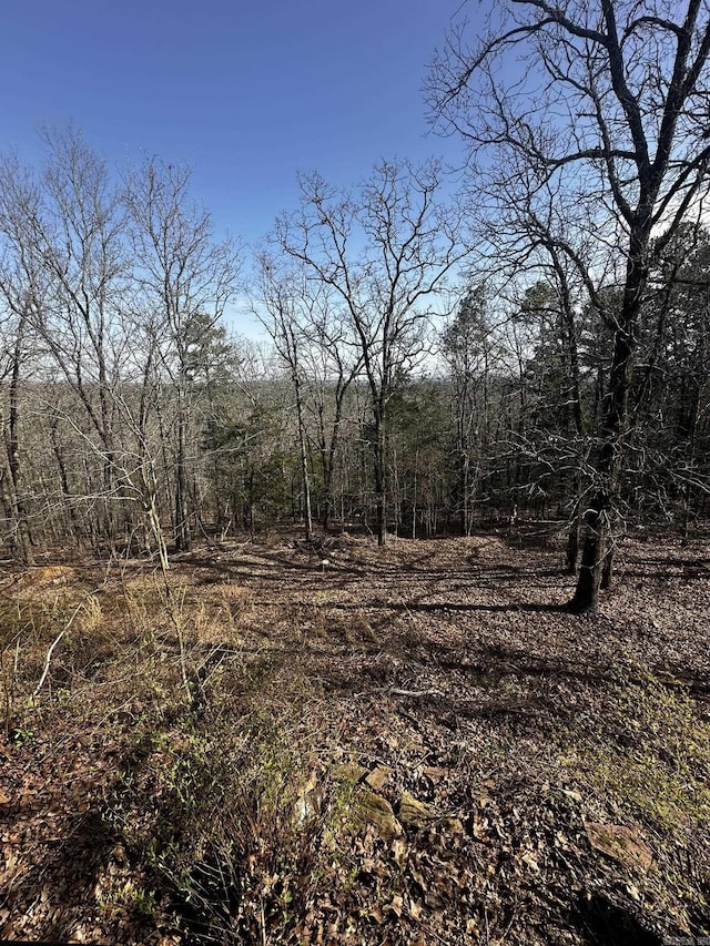 view of local wilderness