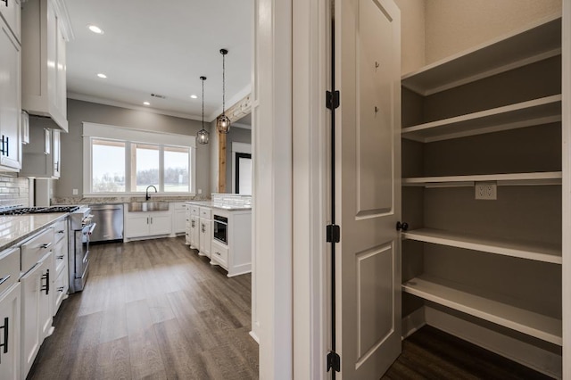 kitchen featuring light stone counters, stainless steel appliances, dark wood finished floors, and white cabinetry