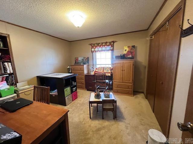 home office featuring light colored carpet, a textured ceiling, and crown molding