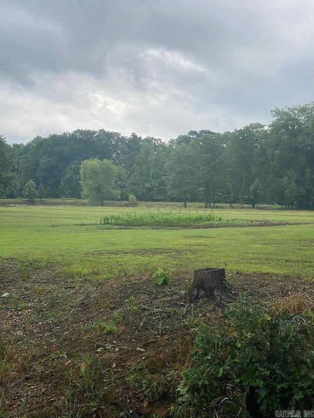 view of local wilderness with a rural view and a view of trees