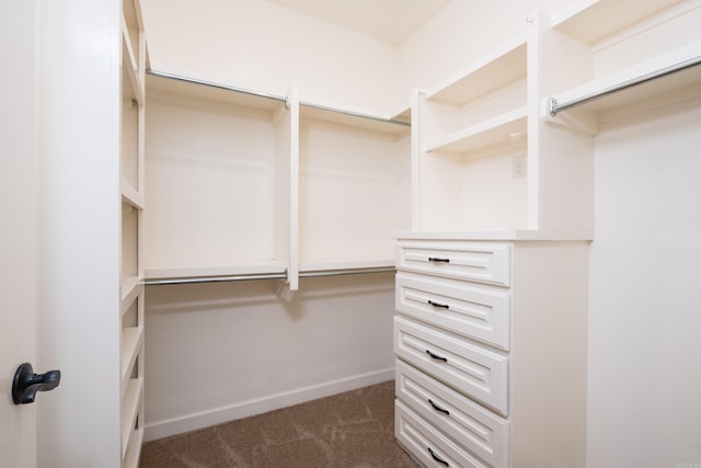 spacious closet with dark colored carpet